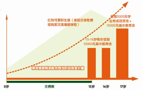 平安附加少儿高中教育年金保险（分红型，2004）投保示例