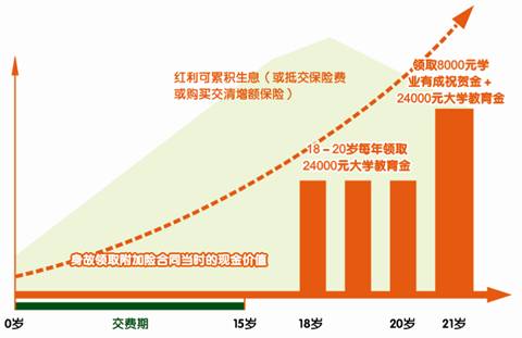 平安附加少儿大学教育年金保险（分红型，2004）投保示例