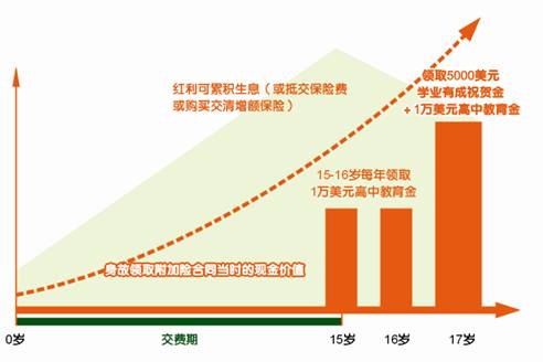 平安附加少儿高中教育年金保险（分红型，外币版）