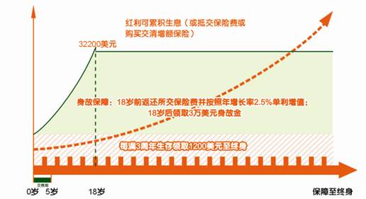 平安世纪天使少儿两全保险（分红型，外币版）投保示例