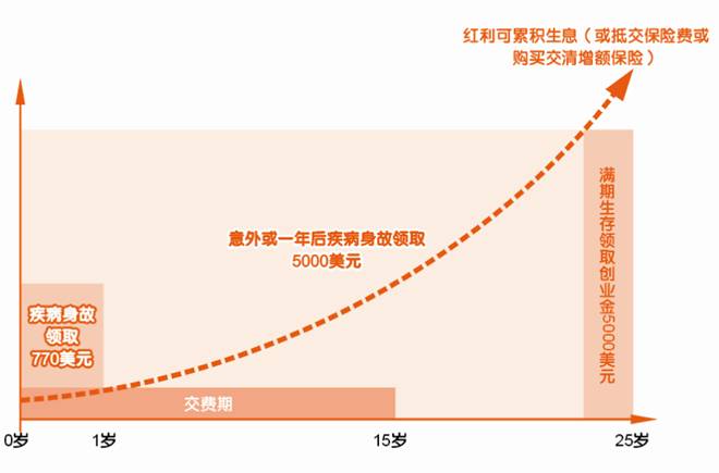 平安世纪星光少儿两全保险（分红型，外币版）投保示例