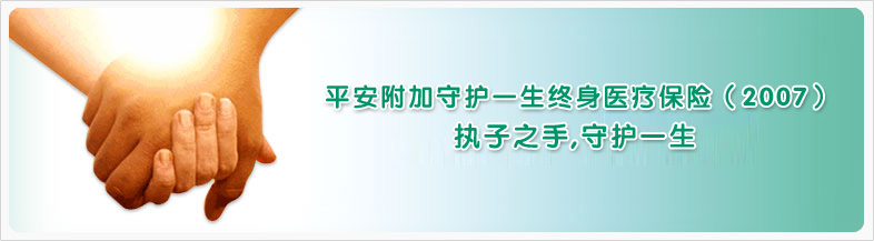 平安附加少儿大学教育年金保险（分红型，2004）